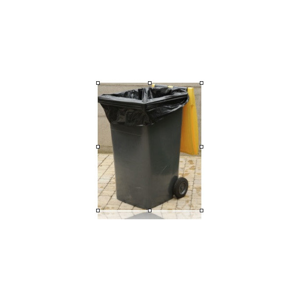 CompostBag® [10 sacs] - sacs de conteneurs compostables 40-50L