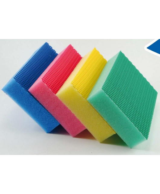 COLOR CLEAN - EPONGE HACCP