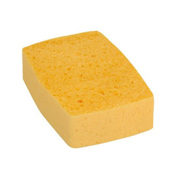 EPONGE VEGETALE