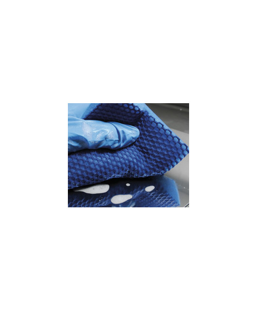 COLOR CLEAN - EPONGE HACCP