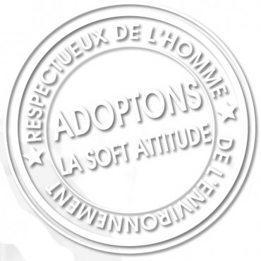 Bac'Soft désinfectant multi-surfaces