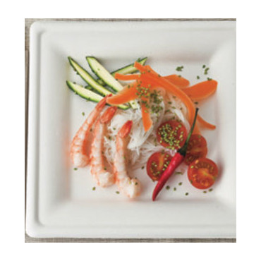 Assiettes carrées en fibre de canne compostables