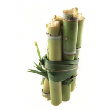 Plateau repas compostable 5 compartiments en fibre de canne