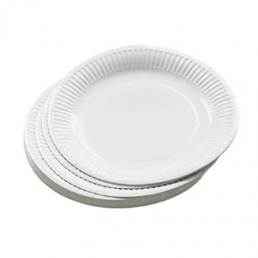Assiette en carton blanc biodégradable