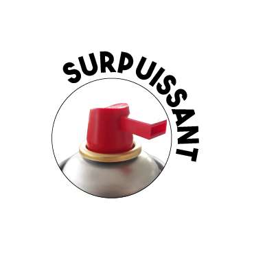 Insecticide Guêpes, Frelons Insecticide Guêpes, Frelons