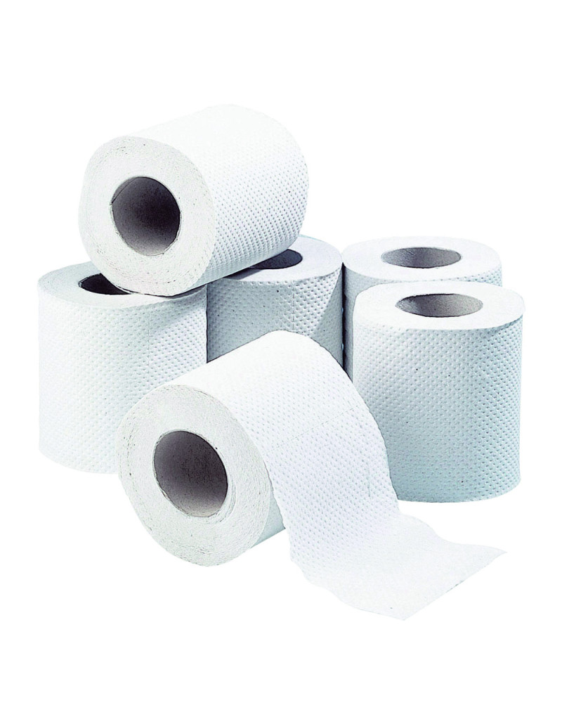 Distributeur rouleau papier toilette domestique 200 formats blanc