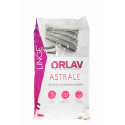 Lessive linge en poudre professionnelle ASTRALE