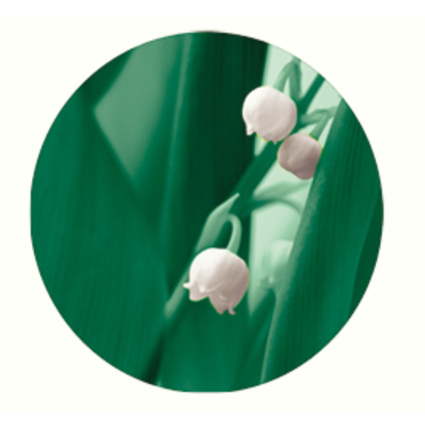 Jedor 2D Muguet, nettoyant surodorant Jedor 2D Muguet, nettoyant surodorant