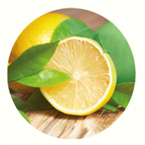 Jedor 2D citron vert, nettoyant surodorant Jedor 2D citron vert, nettoyant surodorant