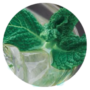 Jedor 2D Menthe Iceberg, nettoyant surodorant Jedor 2D Menthe Iceberg, nettoyant surodorant
