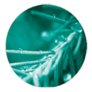 Jedor 3D Pin Eucalyptus, nettoyant surodorant désinfectant virucide Jedor 3D Pin Eucalyptus, nettoyant surodorant désinfectant virucide