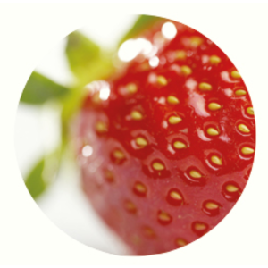 Jedor 3D Fraise, nettoyant surodorant désinfectant virucide Jedor 3D Fraise, nettoyant surodorant désinfectant virucide