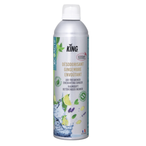 Desodorisant Gingembre envoûtant Desodorisant Gingembre envoûtant