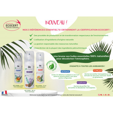 Huile Essentielle Purifiant Huile Essentielle Purifiant