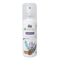 HUILE ESSENTIELLE 10 PURIFIANT HUILE ESSENTIELLE 10 PURIFIANT